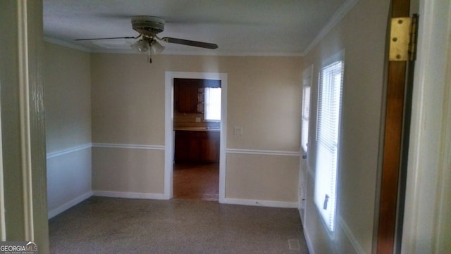 spare room featuring ceiling fan, ornamental molding, and carpet