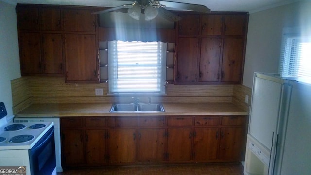 kitchen with electric stove, plenty of natural light, white refrigerator, and sink