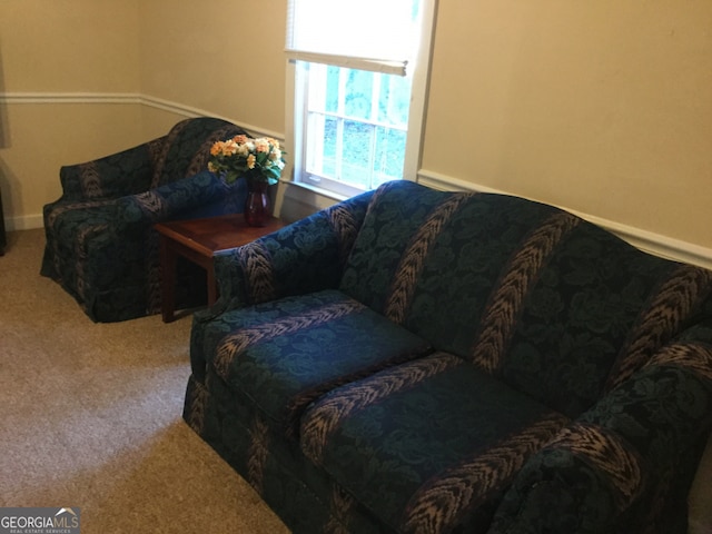 living room with carpet flooring