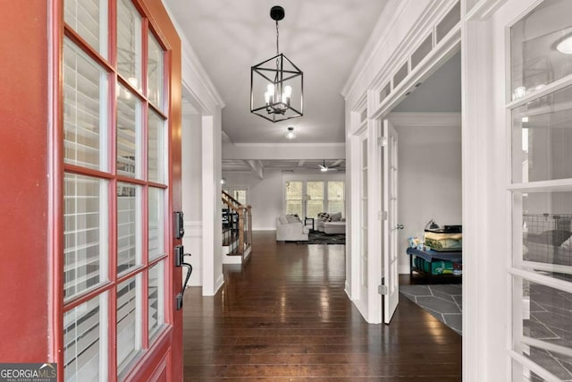 corridor featuring crown molding, dark hardwood / wood-style floors, a chandelier, and french doors