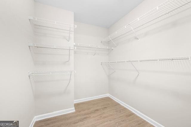 spacious closet featuring hardwood / wood-style flooring