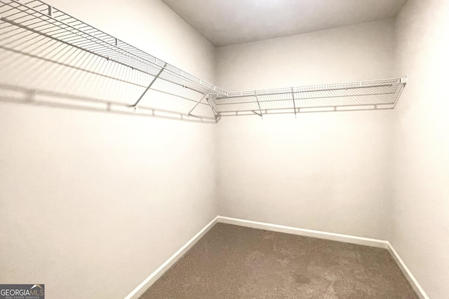 spacious closet with carpet flooring