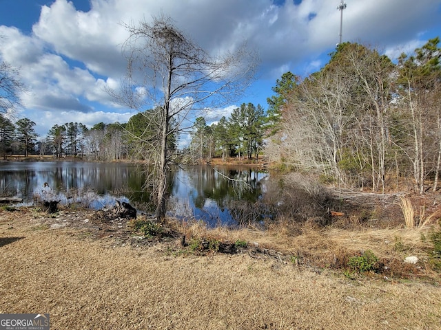 view of water feature