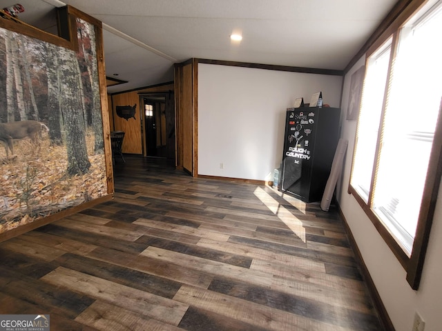 interior space featuring vaulted ceiling and dark hardwood / wood-style floors