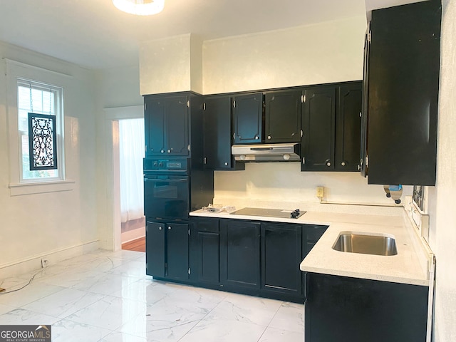 kitchen with sink and black appliances