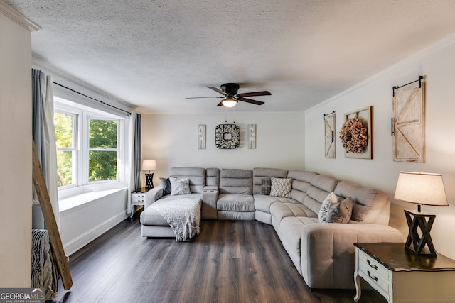 living room with dark hardwood / wood-style floors, ceiling fan, crown molding, a barn door, and a textured ceiling