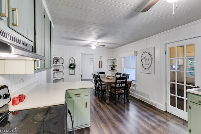 kitchen with stainless steel electric range, ceiling fan, green cabinets, dark hardwood / wood-style floors, and a healthy amount of sunlight