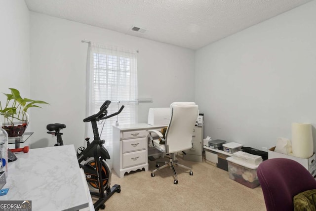 home office featuring light colored carpet and a textured ceiling