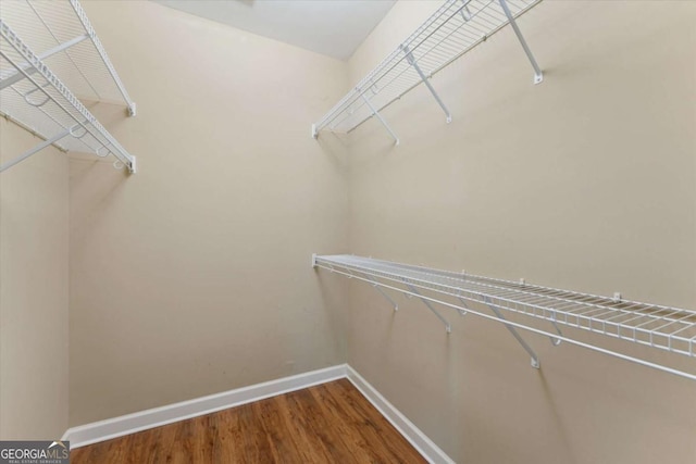 walk in closet with hardwood / wood-style floors