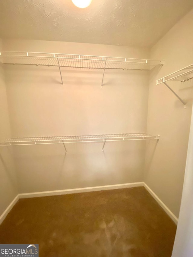 spacious closet featuring carpet flooring