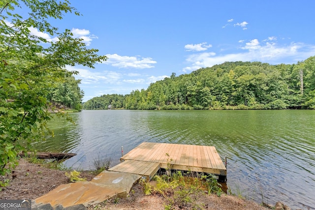 view of dock with a water view