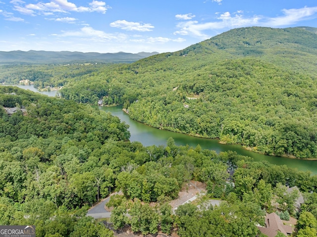 birds eye view of property with a water and mountain view