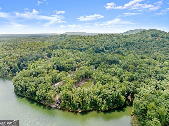 aerial view with a water and mountain view