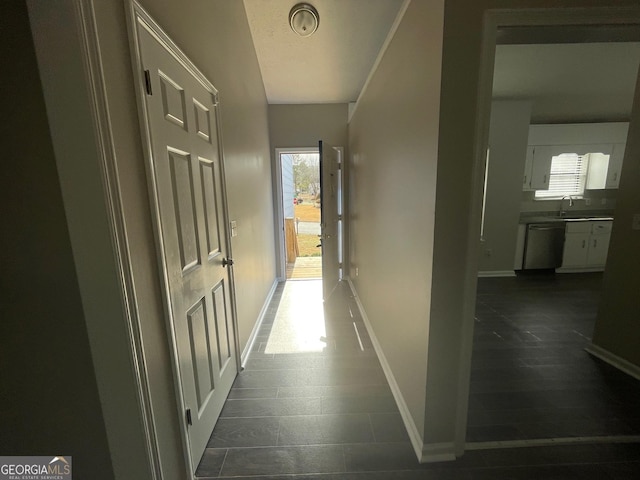 hall featuring plenty of natural light and sink