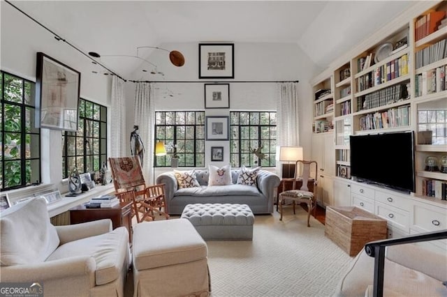 living room featuring vaulted ceiling