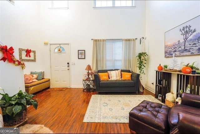 living room featuring hardwood / wood-style flooring and a high ceiling