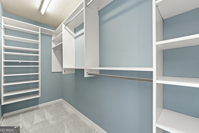 spacious closet with light colored carpet