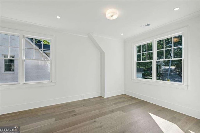 additional living space with wood-type flooring