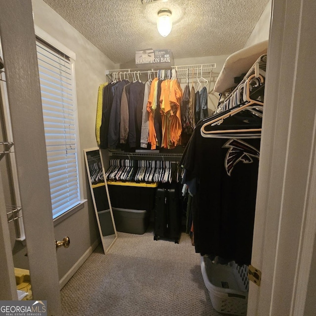 spacious closet with carpet