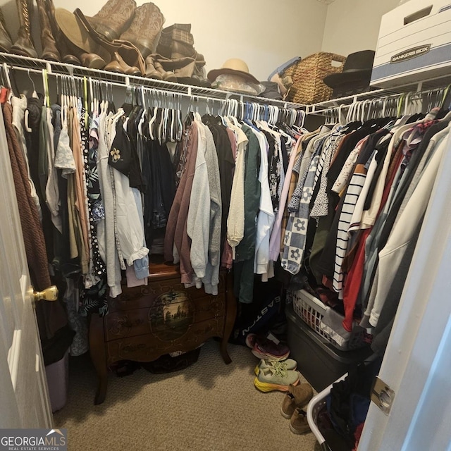 walk in closet featuring carpet