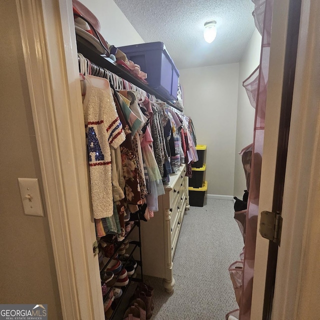 spacious closet featuring carpet