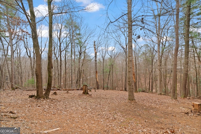 view of woods