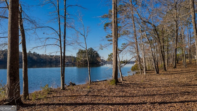 LOT2 Hinton Dr, Hamilton GA, 31811 land for sale