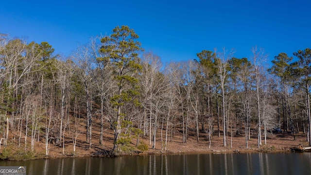 Listing photo 2 for LOT2 Hinton Dr, Hamilton GA 31811