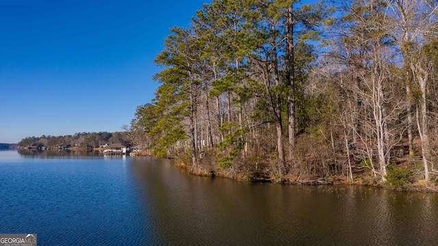 Listing photo 3 for LOT2 Hinton Dr, Hamilton GA 31811