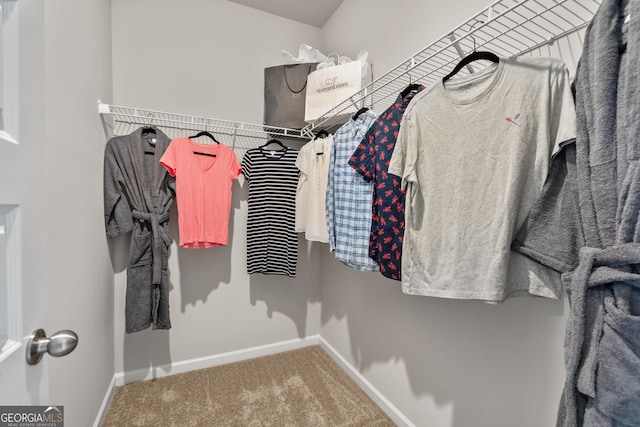 spacious closet with carpet