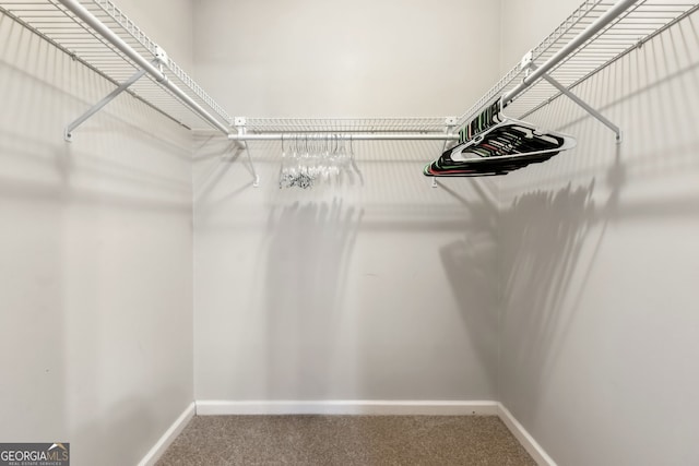 spacious closet with carpet floors