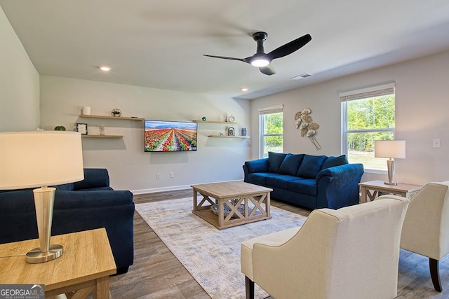 living room with ceiling fan and wood-type flooring