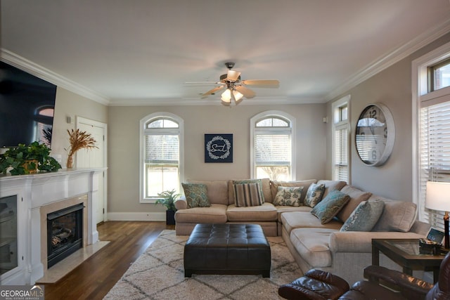 6422 Paulson, Atlanta, GA 30328 - living area featuring a fireplace with flush hearth, a healthy amount of sunlight, crown molding, and dark wood-style floors