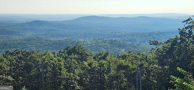 38 High Summit Dr, Talking Rock, GA 30175