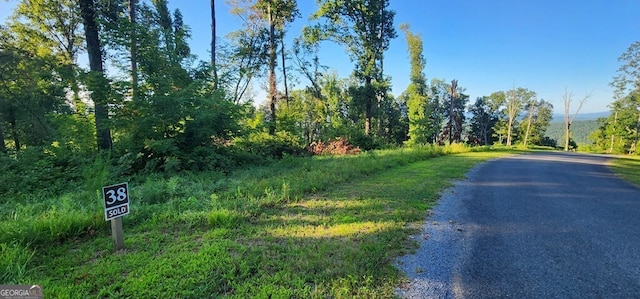 38 High Summit Dr, Talking Rock, GA 30175