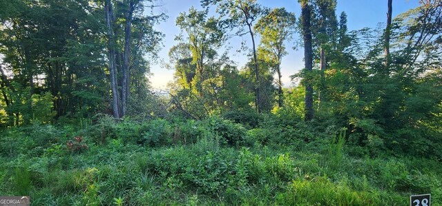 38 High Summit Dr, Talking Rock, GA 30175