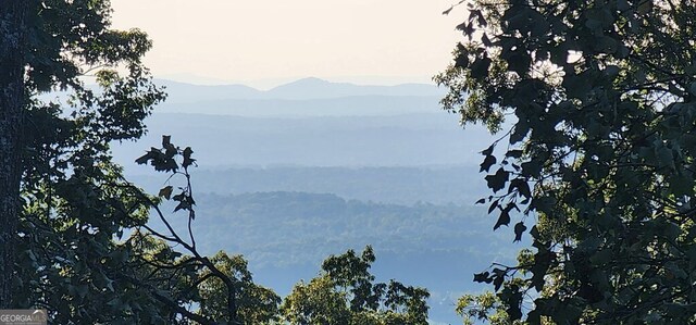 38 High Summit Dr, Talking Rock, GA 30175
