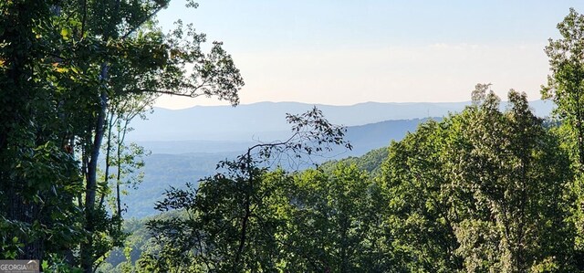 38 High Summit Dr, Talking Rock, GA 30175