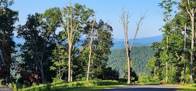 38 High Summit Dr, Talking Rock, GA 30175