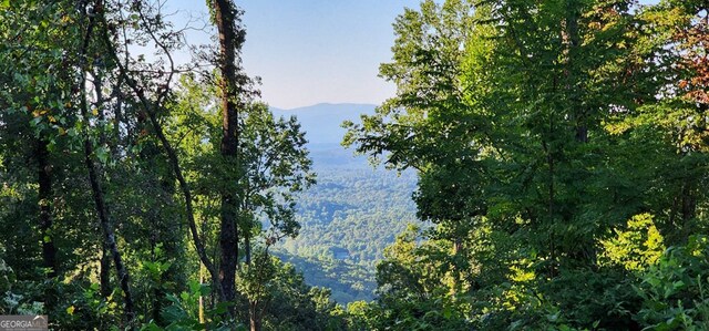 38 High Summit Dr, Talking Rock, GA 30175