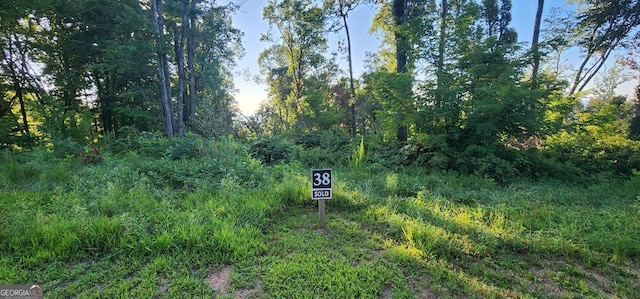 38 High Summit Dr, Talking Rock, GA 30175