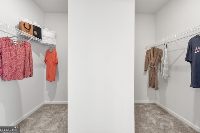 walk in closet with light colored carpet