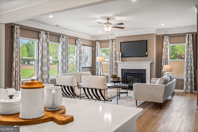 living room with hardwood / wood-style floors, crown molding, a fireplace, and plenty of natural light