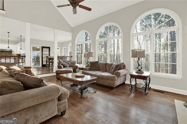 living room featuring dark wood finished floors, a wealth of natural light, and baseboards