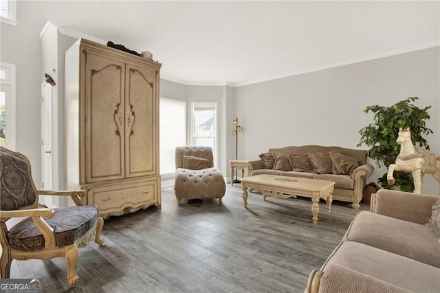 interior space featuring ornamental molding and dark wood-style flooring