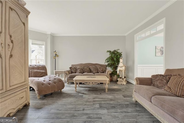 living room featuring dark wood-type flooring and crown molding