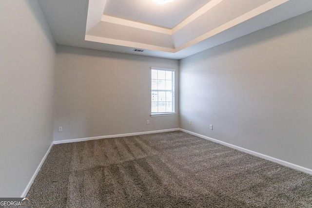 unfurnished room featuring a raised ceiling and carpet floors