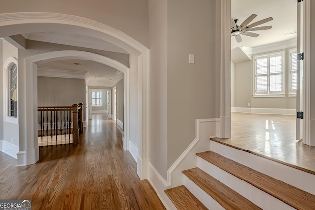 hallway with crown molding and wood-type flooring