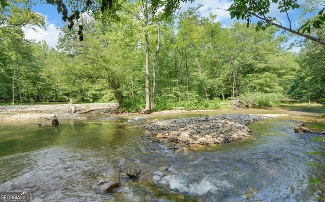 property view of water featuring a forest view