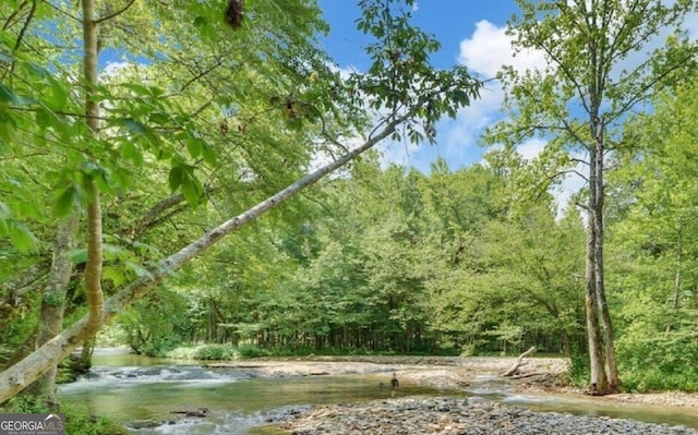 view of nature with a wooded view